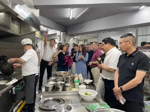 駐馬店餐協走訪四市圓滿收官，食品銷售經驗交流助力產業升級