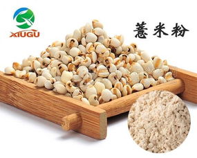 天津秀谷生物 專業廠直銷干燥薏米粉，打造健康食品新選擇